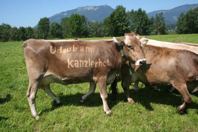 Kanzlerhof Бад Митерндорф Екстериор снимка